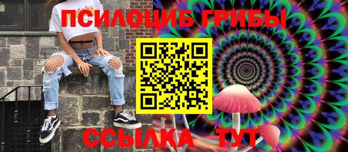 Галлюциногенные грибы Psilocybe  Псилоцибиновые грибы мицелий  Вход с VPN  Сафоново 